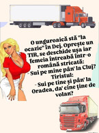 O unguroaica sta la ocazie - poza demo