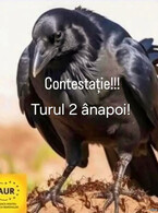 Turul 2 - poza demo