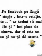 Pe facebook ar trebuii introdusă încă o stare - poza demo