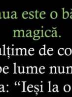 Cafeaua este o băutură magică - poza demo