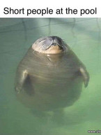 Short people at the pool - poza demo