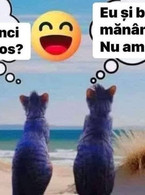 Tu mananci sanatos? - poza demo