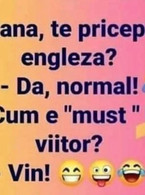 Diana, te pricepi la engleza? - poza demo