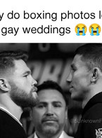 Boxing photos like gay weddings - poza demo