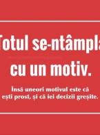 Totul se întâmplă cu un motiv - poza demo