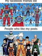 My Facebook friends list and people who like my - poza demo