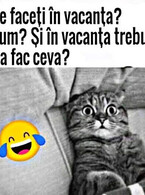 Ce faceti in vacanta? - poza demo