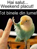 Weekend placut - poza demo