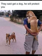 Get a dog they said - poza demo