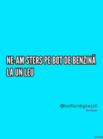 Benzina la 1 leu - poza demo
