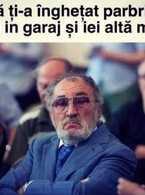 Daca ti-a inghetat parbrizul - Ion Tiriac - poza demo