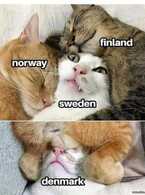 Norway, Finland, Sweden, Denmark - poza demo
