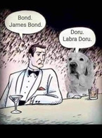 Bond. James Bond - poza demo