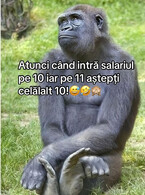 Cand intra salariul - poza demo