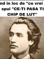 Cand in loc de "ce vrei fa" ii spui - poza demo