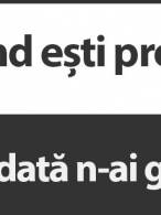 Proștii fără greșeli - poza demo