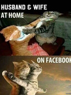 Husband and wife at home and on Facebook - poza demo