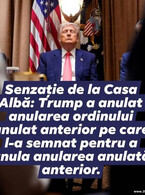 Senzatie de la Casa Alba - poza demo