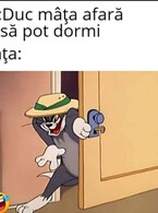 Duc mata afara - poza demo