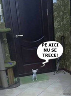 Pe aici nu se trece - poza demo