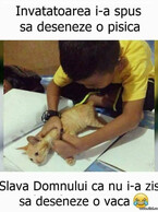 Sa deseneze o pisica - poza demo
