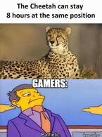 Gamers - poza demo