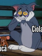 Ciuca si Ciolacu dupa alegeri - poza demo