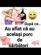 Acelasi porc de sarbatori - poza demo