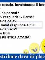 Ce ne dă porcul,oaia şi vaca? - poza demo