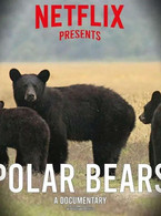 Netflix presents polar bears - poza demo