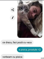 Poza cu vaca - poza demo