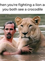 When you're fighting a lion - poza demo