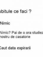 De o oră studiezi certificatul nostru de căsătorie - poza demo