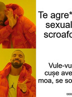 Te scroafo - poza demo