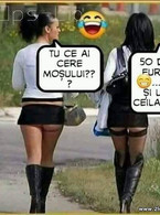 Tu ce ai cere Mosului? - poza demo