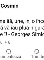 Franceza lui Simion - poza demo
