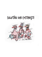 Salutare din Costinesti - poza demo