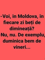 Voi, in Moldova in fiecare zi beti? - poza demo