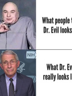 What people think Dr. Evil looks like - poza demo