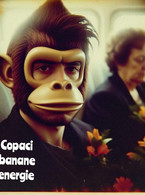 Copaci banane energie - poza demo