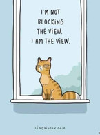 I'm not blocking the view. I'm the view - poza demo