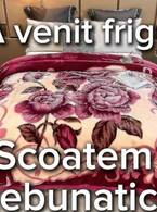 A venit frigul. Scoatem nebunatica - poza demo