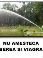 Când amesteci bere cu viagra - poza demo