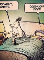 Goodnight honey. Goodnight deer - poza demo