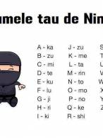 Numele tau de ninja - poza demo