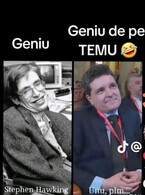 Geniu de pe Temu - poza demo