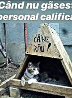 Personal necalificat - poza demo