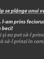 Păi da! În beci e uşor de prins - poza demo