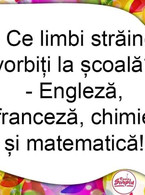 Ce limbi straine vorbiti la scoala? - poza demo