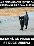 Daca o pisica neagra iti taie calea - poza demo